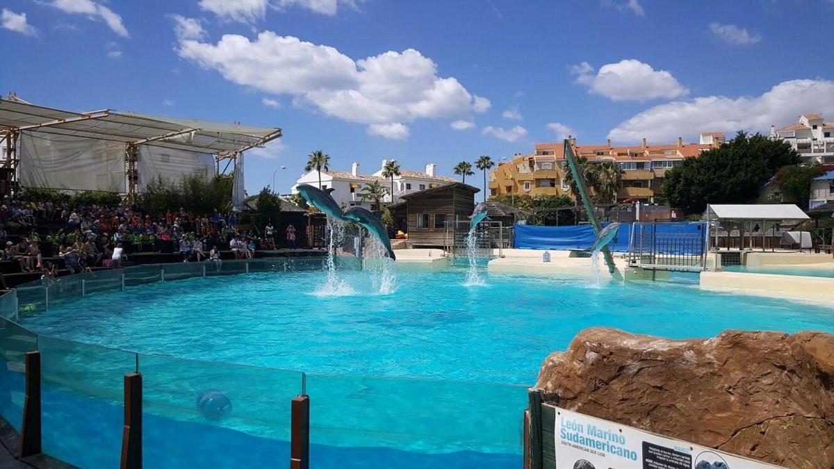 Sunny Aquario Appartement